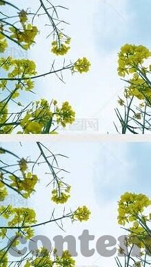 麻豆传媒林予曦-